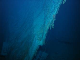 Stem of bow